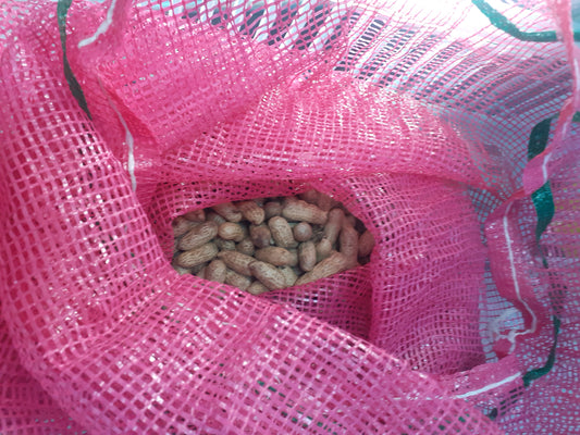 Fresh Groundnuts